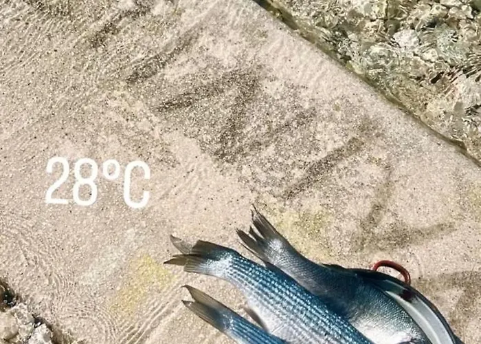 Stiniva Apartman Hvar Town