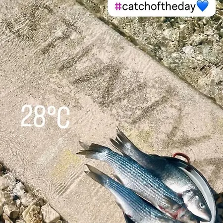 Stiniva Lägenhet Hvar Town