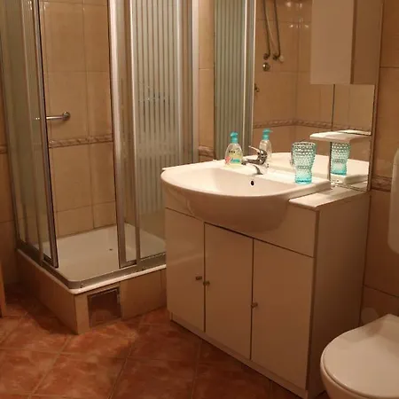 Apartment Stiniva *