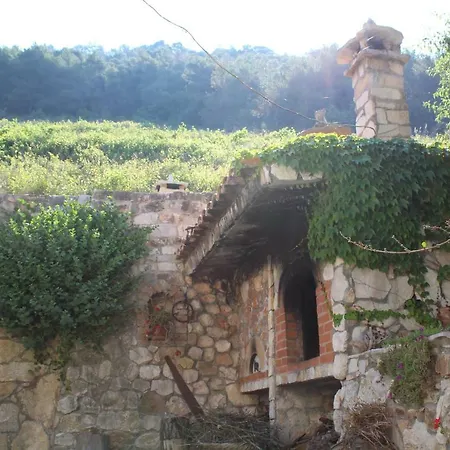 Stiniva