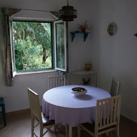 Apartment Stiniva *