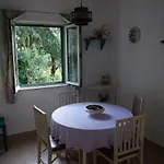Apartman Stiniva *